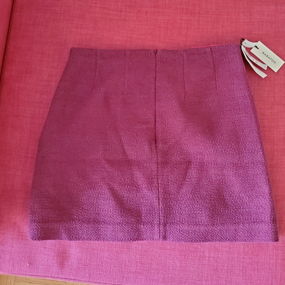Brand new Aritzia skirt - Picture 2 of 2
